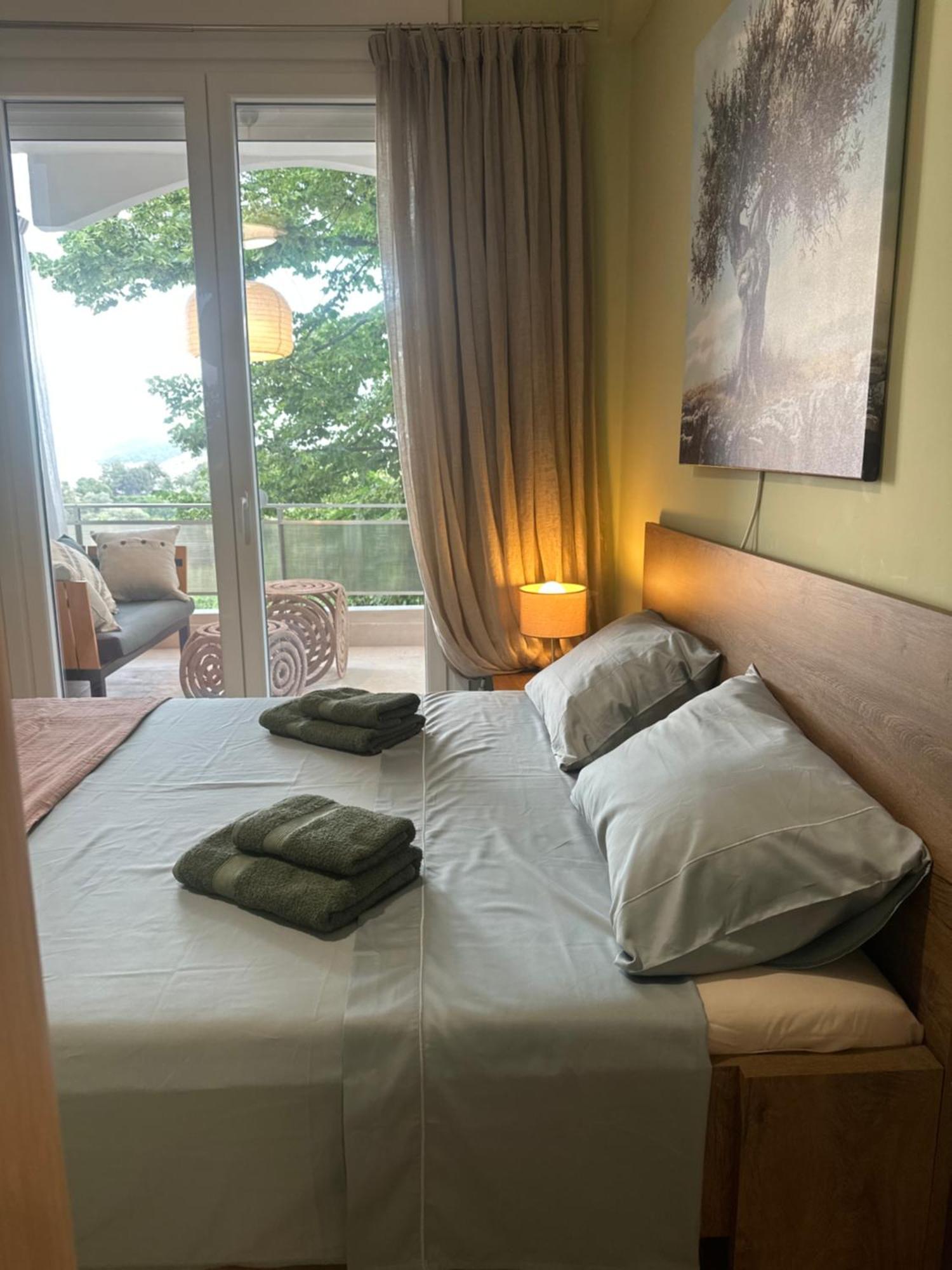 Apartament Olivia -Ελιά PalaiónTsiflíkion Zewnętrze zdjęcie