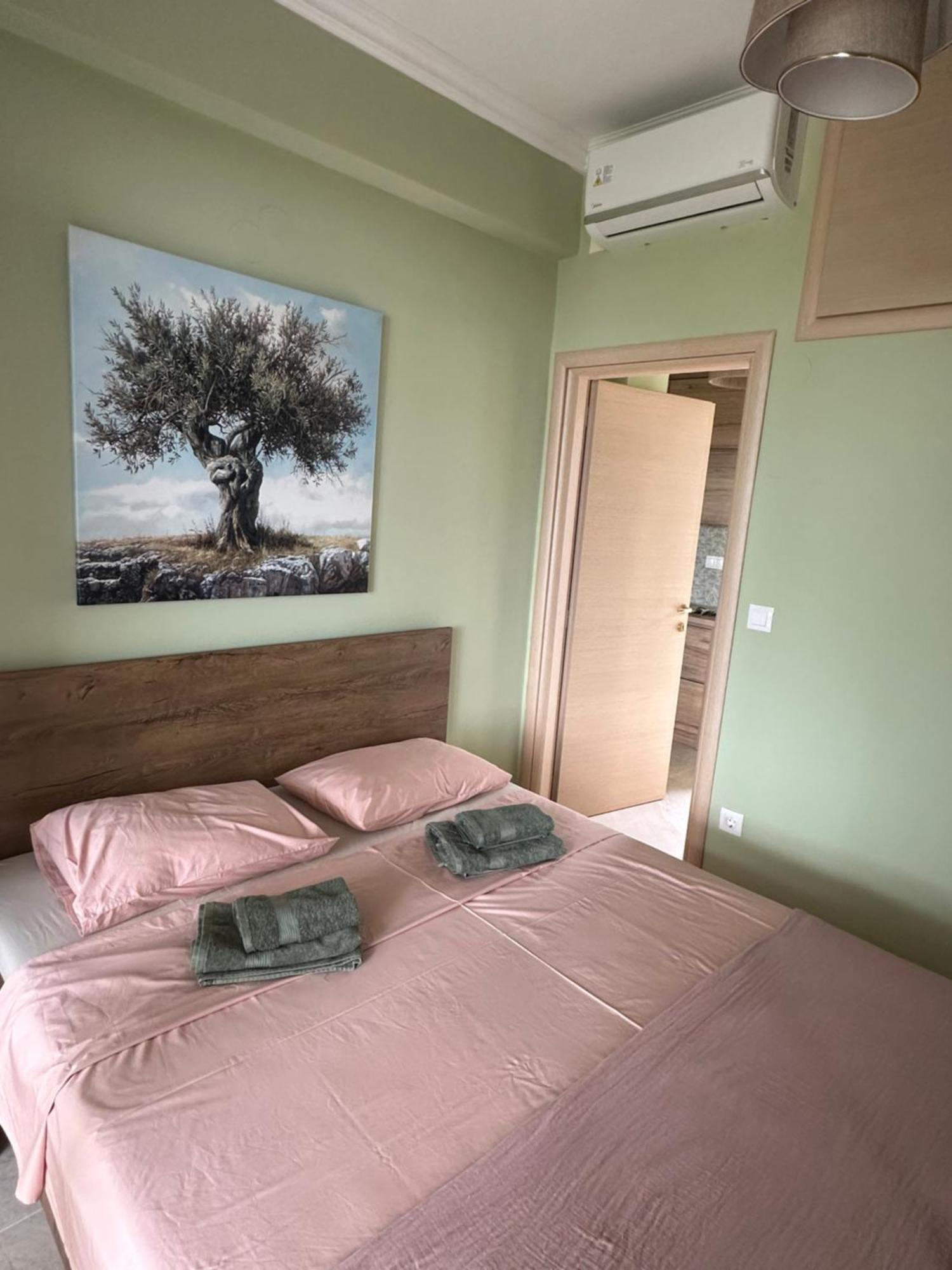 Apartament Olivia -Ελιά PalaiónTsiflíkion Zewnętrze zdjęcie