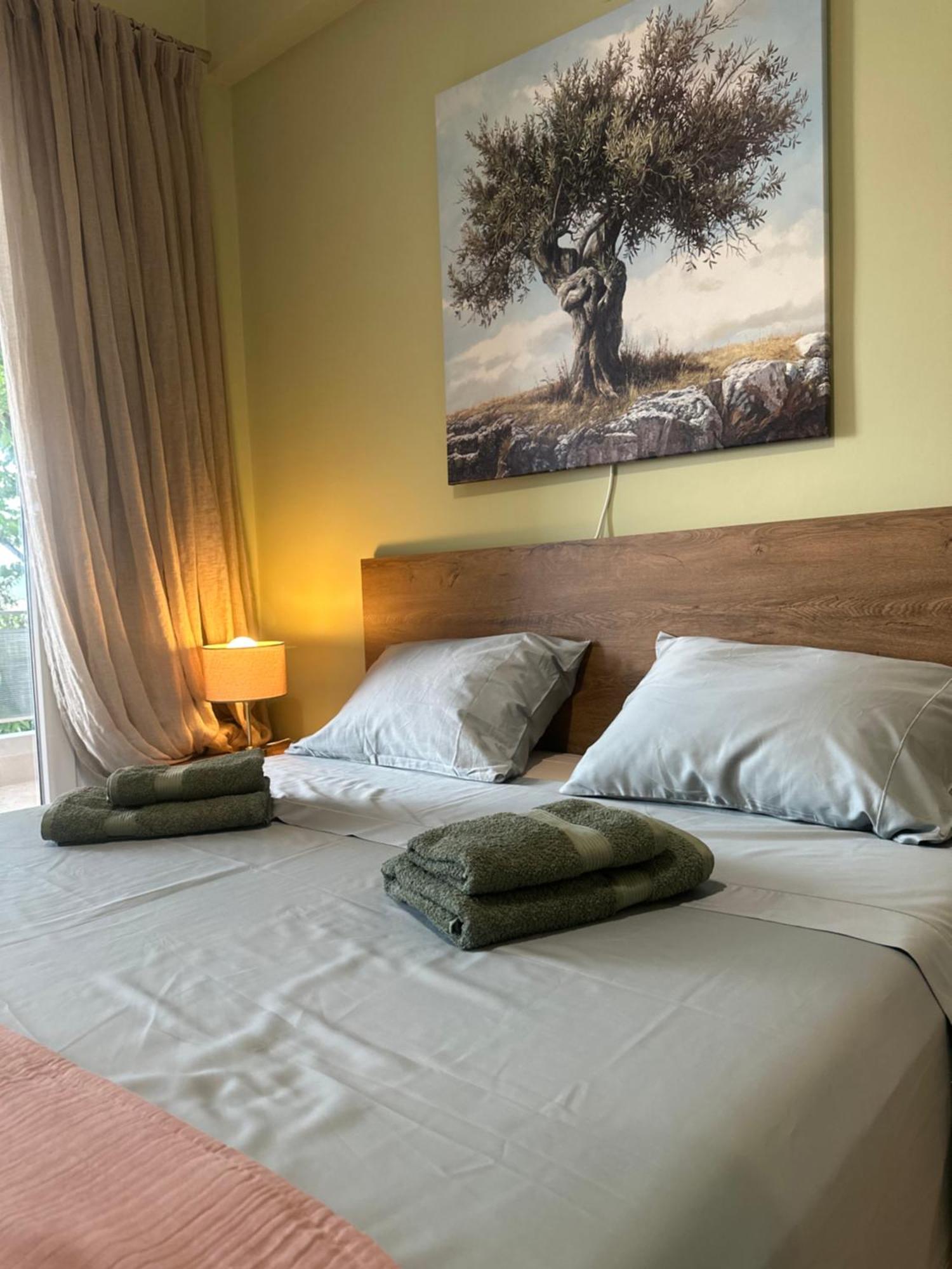Apartament Olivia -Ελιά PalaiónTsiflíkion Zewnętrze zdjęcie